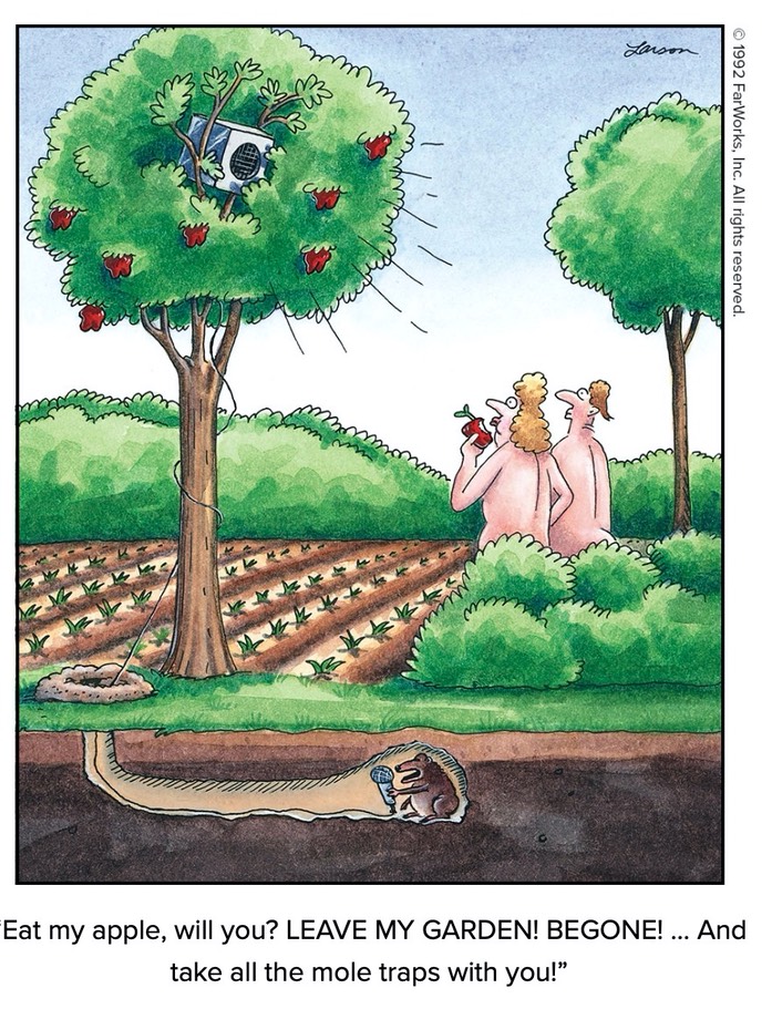 FarSideEden